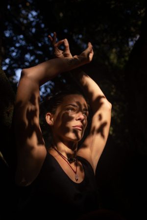 la fuerza de los pirineos